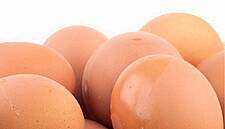 Slovenian Retailers To Discontinue Eggs From Caged Chickens