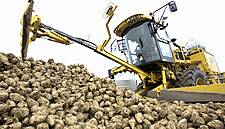 EU Sugar Output Could Drop Further As Growers Turn Away From Beet