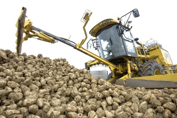 Lower Sugar In French 2021 Beet Crop To Dampen High Price Gains