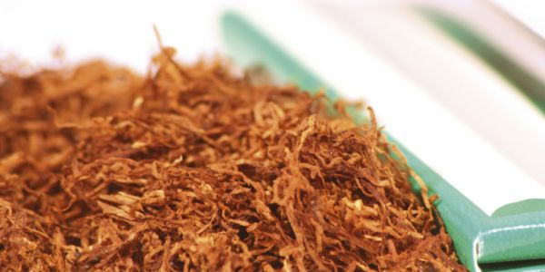 Tobacco Has New Role To Play In Lab-Grown Meat, Biotech Startup Says