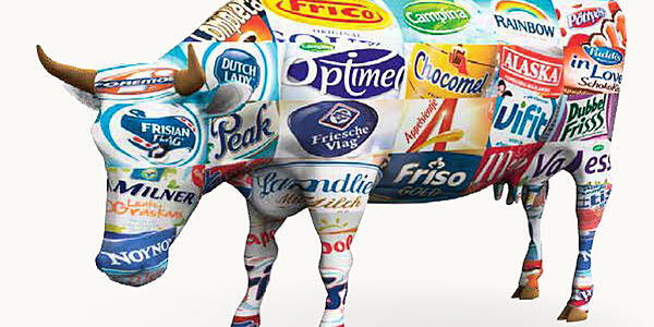 FrieslandCampina Buys Hungarian Dairy Plant