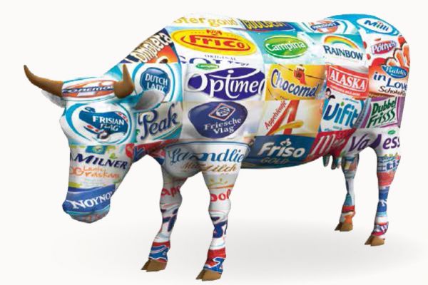 FrieslandCampina Buys Hungarian Dairy Plant