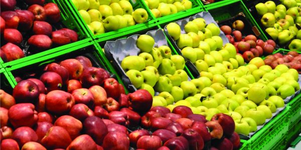 Colruyt Tests Fruit And Vegetables Recognition Technology