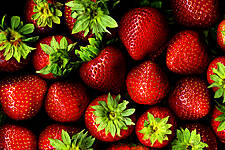 Carrefour Suspends Sales Of Strawberries Until Mid-February