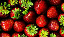 Migros, WWF Collaborate On Sustainable Strawberry Cultivation In Spain