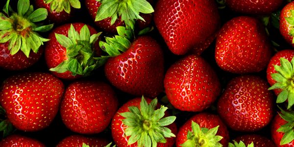 Migros, WWF Collaborate On Sustainable Strawberry Cultivation In Spain