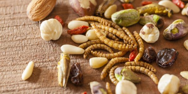 Edible Insects Market To Grow At CAGR Of 18.5% Over Coming Decade: Study