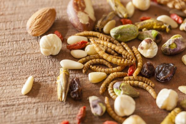 Spar UK MD Suggests Private-Label Edible-Insect Range