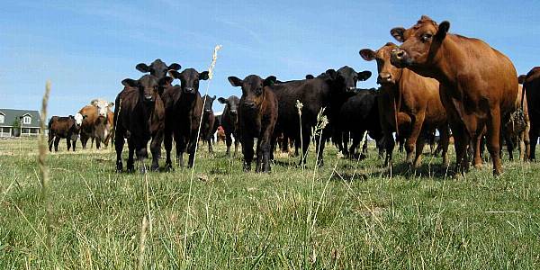 French Farmers Block Imports At Borders With Germany, Spain