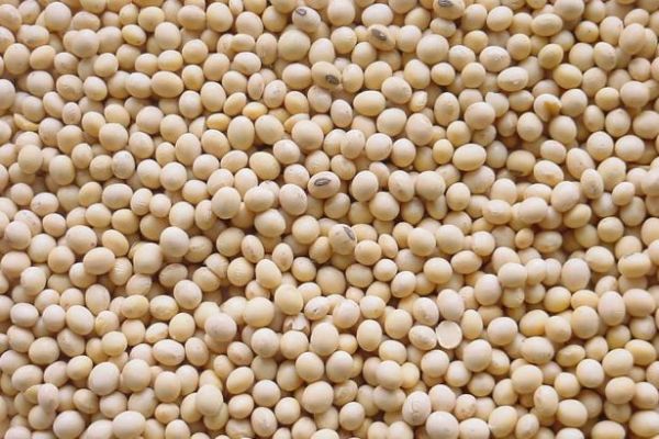 Soybeans Spur Rebound From Lowest Price in 5 Years