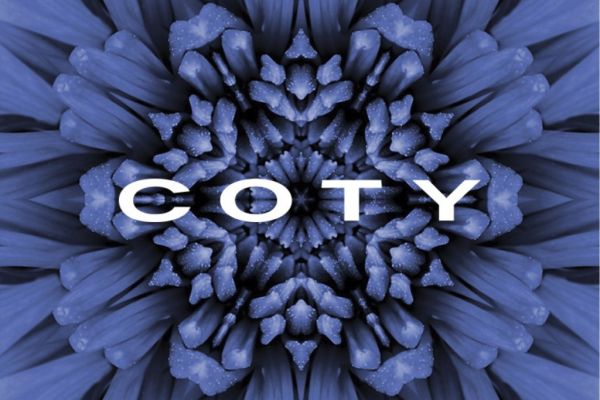 Coty Agrees to Purchase P&G Beauty Brands for €11.25 Billion