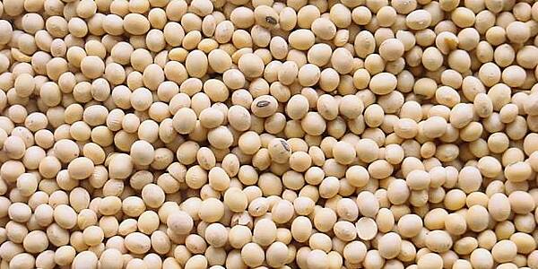 Brazil Soy Exporters Set To Win Big From U.S.-China Trade Spat