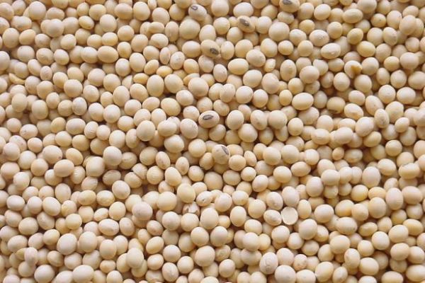 Brazil Soy Exporters Set To Win Big From U.S.-China Trade Spat