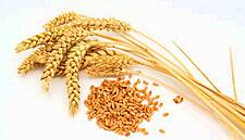 ADM To Buy Rest Of UK Grain Merchant Gleadell From InVivo