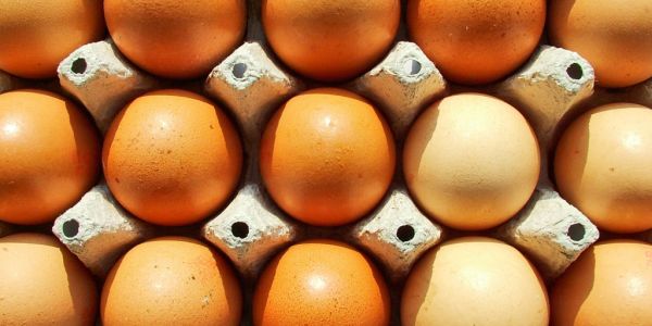 Egg Prices Hit Record in U.S. After Bird Flu ‘Supply Shock’
