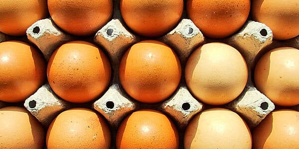 Mondelez To Source 100 Per Cent Cage-Free Eggs In Europe By 2025