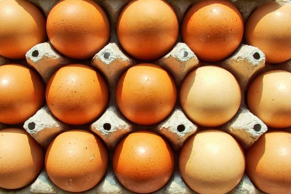 Egg Prices Hit Record in U.S. After Bird Flu ‘Supply Shock’