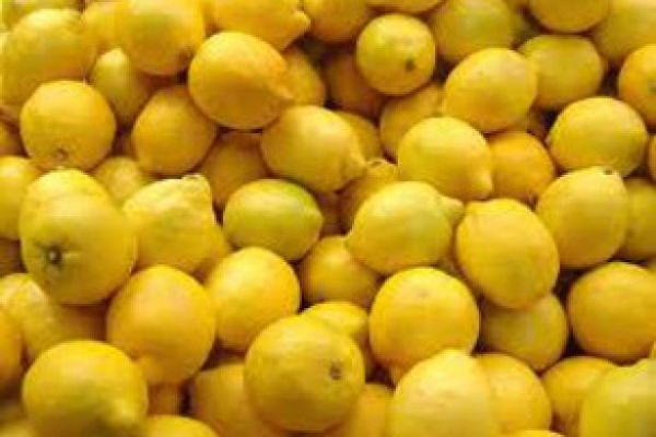 S. Africa Has Strengthened Citrus Black Spot Management EU Says