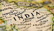 Monsoon Covers Most Cane, Cotton, Soybean Fields in India