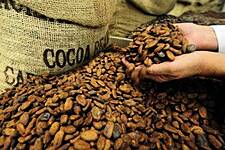Mondelēz International Launches Cocoa Sustainability Initiative In Brazil