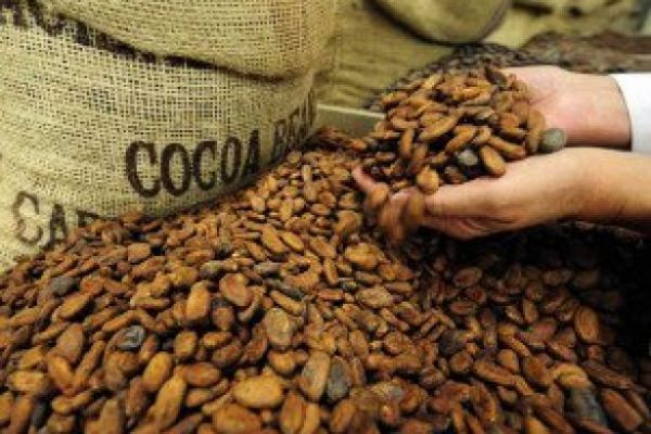 Cocoa Beans To Bring Ghana Foreign-Exchange Market To Life