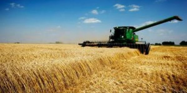 Farming And Eating Need To Change To Curb Global Warming: UN