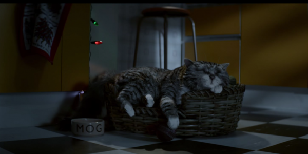 Sainsbury's Brings Back Mog the Cat for Christmas