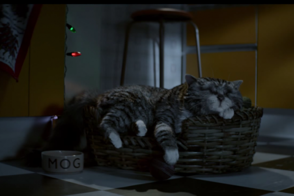 Sainsbury's Brings Back Mog the Cat for Christmas