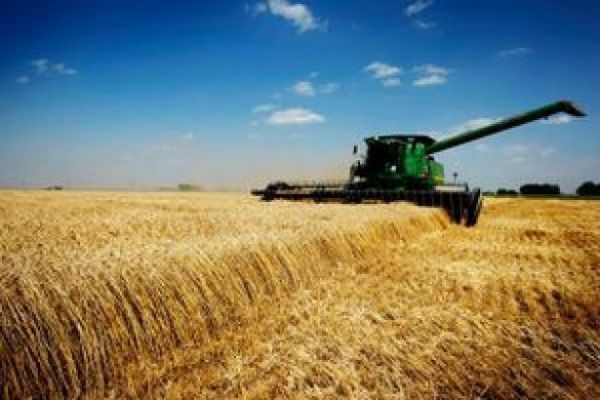 Australia Wheat Crop Cut as El Nino Brings Hot, Dry Weather