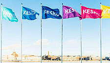 Kesko Study Finds Finns Eager To Embrace Vegetables