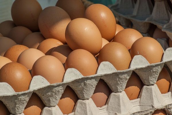 Wal-Mart Will Sell 100% Cage-Free Eggs By 2025 In Industry Shift