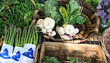Double Digit Growth For GMO-Free Food in Italy