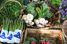 Double Digit Growth For GMO-Free Food in Italy