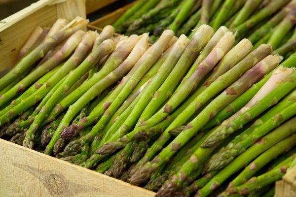 Diminished Asparagus Production In Spain Raises Prices