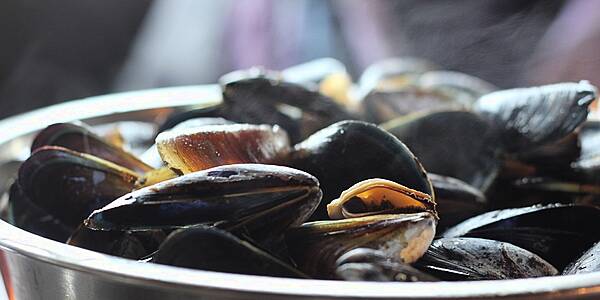 Italian Mussels Stocks Drop As Heatwave Continues