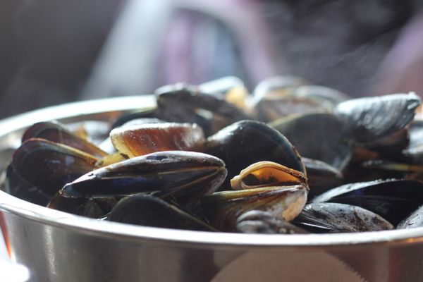 Lidl Mussels Advert Wins Marine Stewardship Council Award