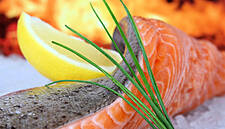 Frozen Foods Sector Recovers In Spain And Grows 2.3 Per Cent