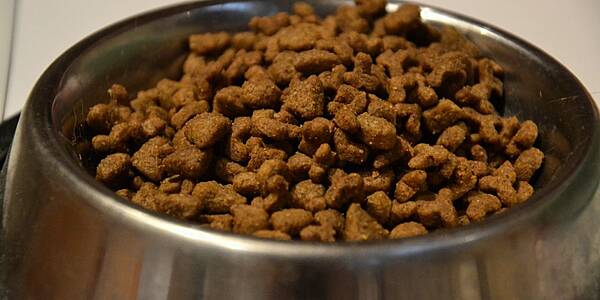 Nestlé To Expand Hungarian Pet-Food Facility