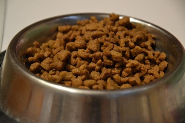 Nestlé To Expand Hungarian Pet-Food Facility