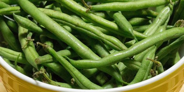 Tesco To Prevent 135 Tonnes Of Green Bean Crop Going To Waste