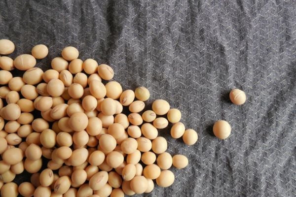 Soybeans Rebound From Six-Week Low, Upbeat Global Supply Outlook Caps Gains