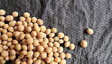 In US Soybean Splurge, Beijing Faces Tough Sell To Saturated Market