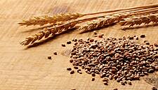 France Increases Wheat Crop Estimate, Cautious On Maize