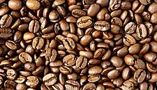 Trendy Coffee Revives African Industry Left Behind