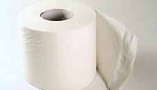 Pulp Friction: Border Jams Delay Supply Of Toilet Paper's Only Ingredient