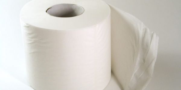 Pulp Friction: Border Jams Delay Supply Of Toilet Paper's Only Ingredient