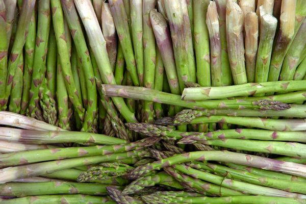 Spanish Asparagus Season Ends Amid Losses