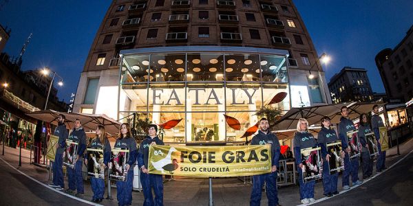 Eataly Third Italian Supermarket To Stop Selling Foie Gras