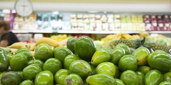 Mercadona Increases Avocado Purchasing By 33%
