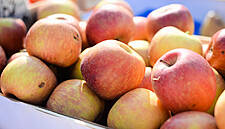 Total Produce Posts 10.4% Increase In Revenue In H1